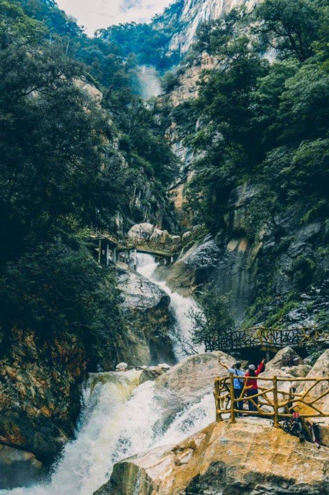 卡通骆驼救援
